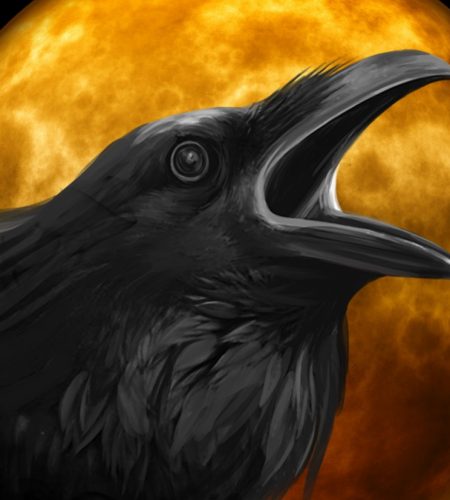 crow, night, gruesome-995208.jpg